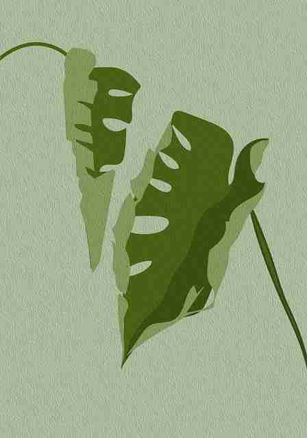 妻社官网专题片段解析｜影像表达方式为何打动人心